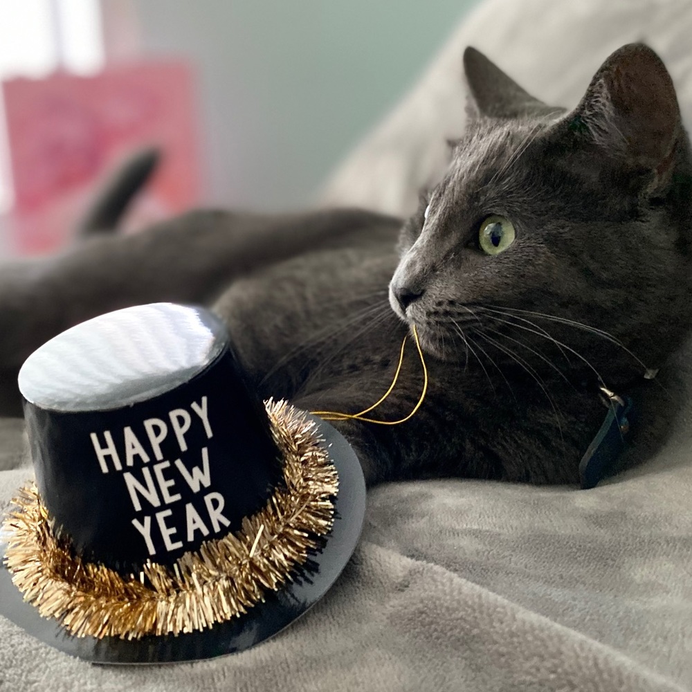 Meet your Posher, Like